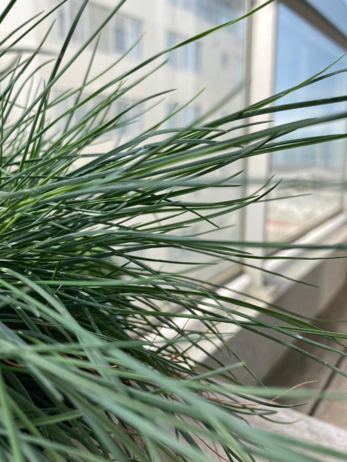 Appartement Met Zicht Op Zee Knokke-Heist Zewnętrze zdjęcie